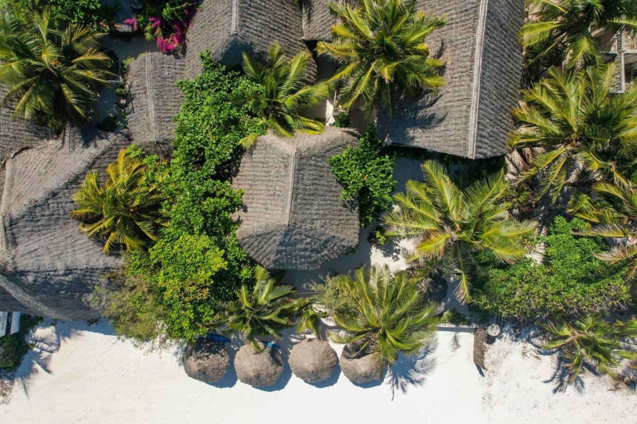 Hebe Bungalows Lodge Matemwe  Ngoại thất bức ảnh